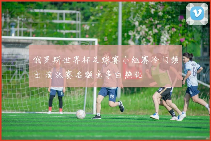 俄罗斯世界杯足球赛小组赛冷门频出 淘汰赛名额竞争白热化