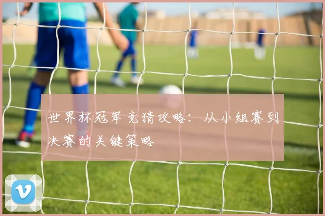 世界杯冠军竞猜攻略:从小组赛到决赛的关键策略