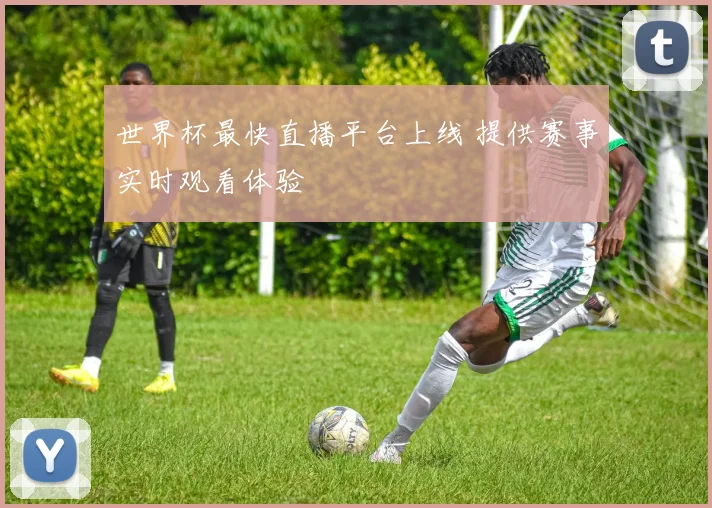 世界杯最快直播平台上线 提供赛事实时观看体验
