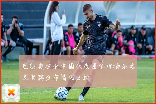 巴黎奥运会中国代表团金牌榜排名及奖牌分布情况分析